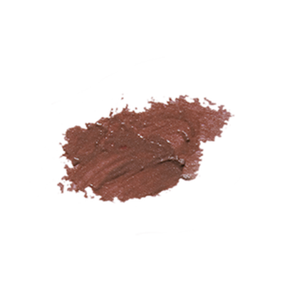 Tinted Lip Balm Bare Bronze Tinted Lip Balm Bare Bronze